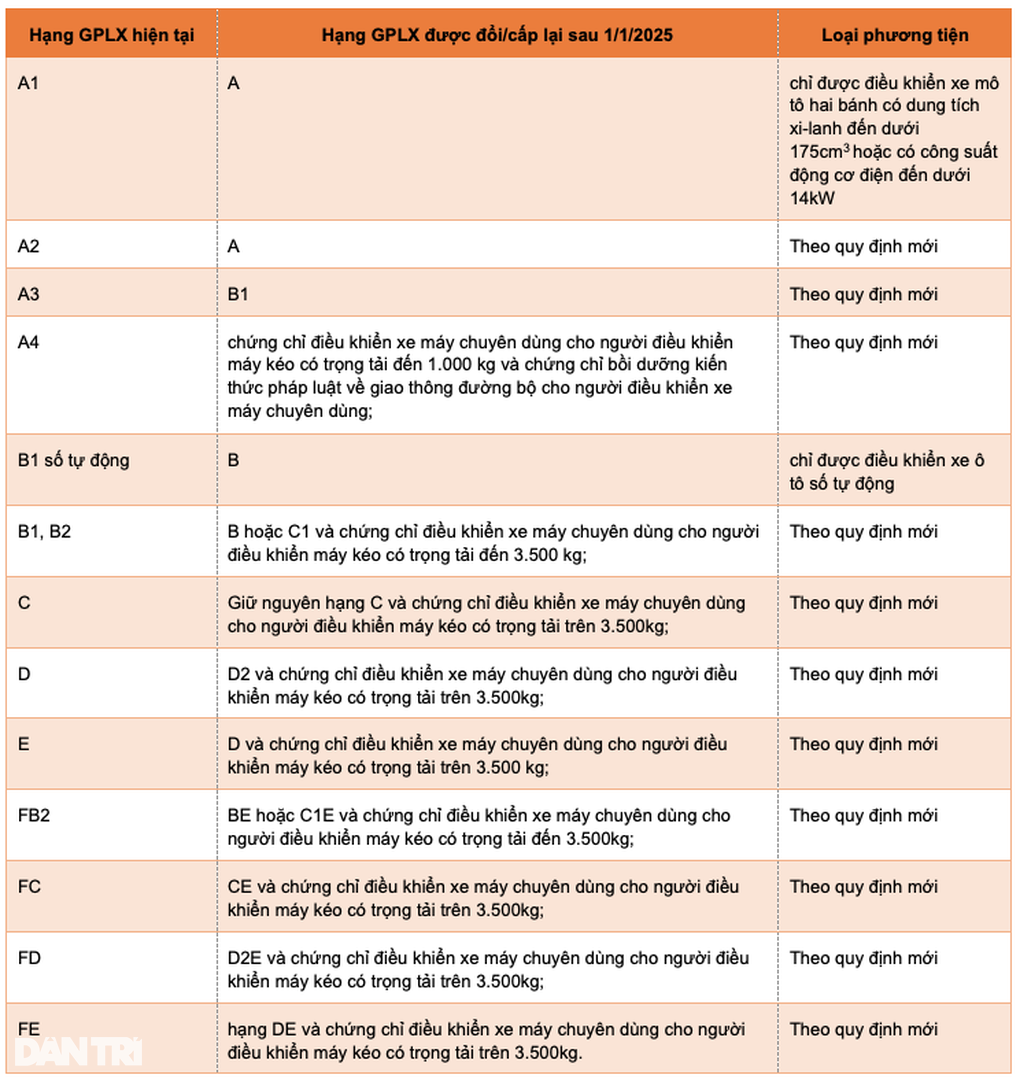 Người sở hữu giấy phép lái xe hạng B1 cấp sau ngày 1/1/2025 sẽ không được phép điều khiển ô tô - 2